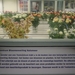 Kind & Gezin NL 03-06-10-2011 (245)