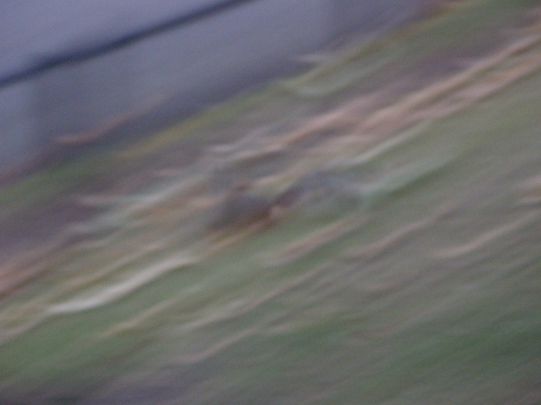 PA210080