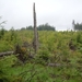 DSCN0667