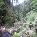 DSCN0683