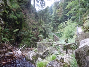 DSCN0683