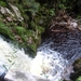 DSCN0684