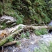 DSCN0688