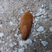 DSCN0696