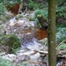 DSCN0705