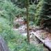 DSCN0706