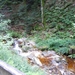 DSCN0707
