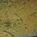 DSCN0708