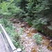 DSCN0709