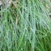 DSCN0710