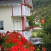 DSCN0724