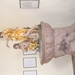 DSCN0745