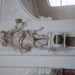DSCN0747