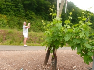 Afbeelding juni 053