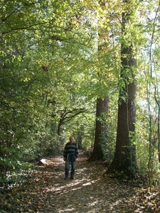 60-Laarbeekbos