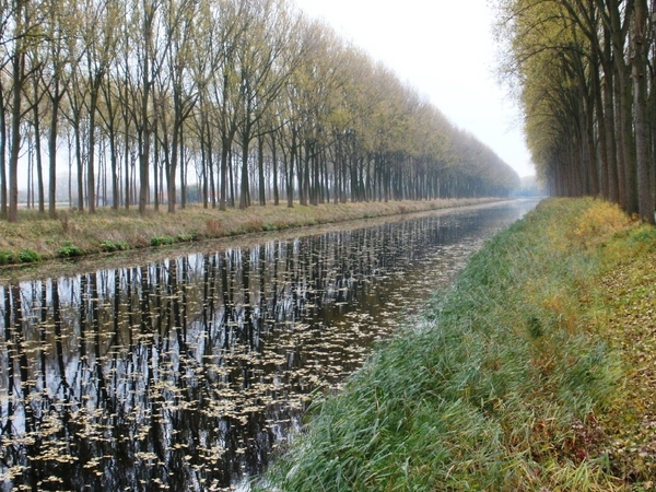 of De Blinker en De Stinker..