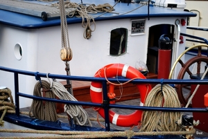 Nederlandse cruisezeilschepen.