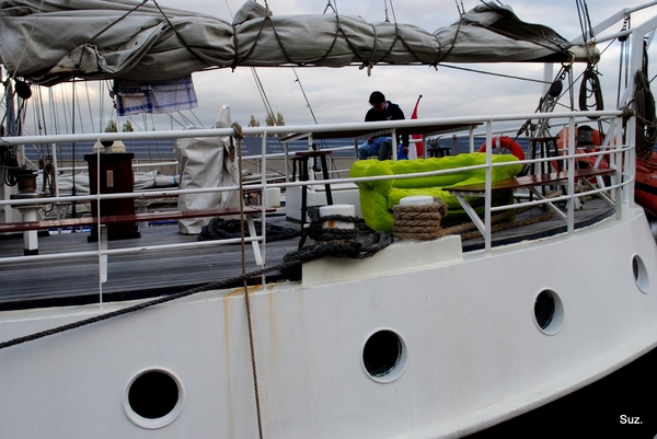 Nederlandse cruisezeilschepen.