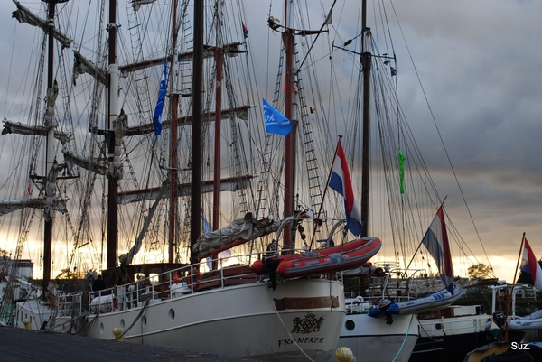 Nederlandse cruisezeilschepen in de Brugse haven