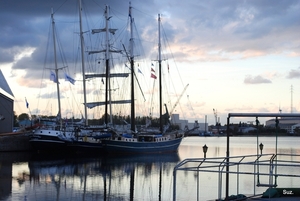 Nederlandse cruisezeilschepen in de Brugse haven