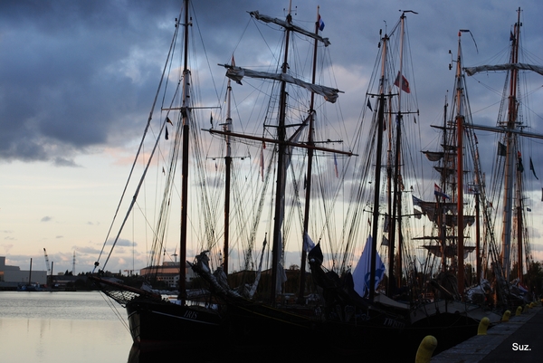 Nederlandse cruisezeilschepen in de Brugse haven