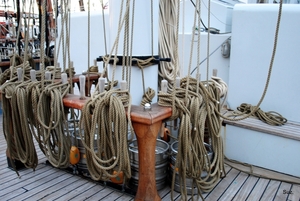 Nederlandse cruisezeilschepen in de Brugse haven