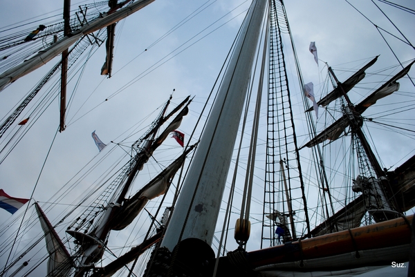 Nederlandse cruisezeilschepen in de Brugse haven