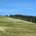 Feldberg