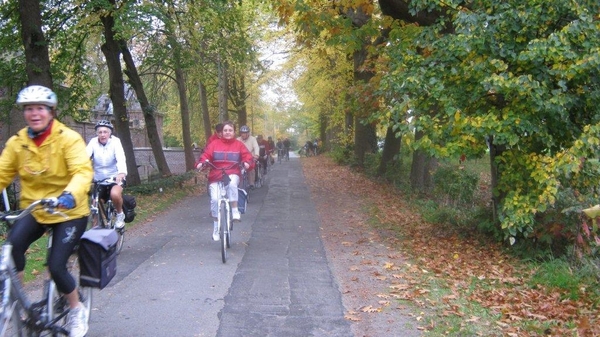 Dendermonde (62)