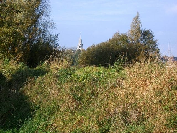 018-St-Amanduskerk in Denderleeuw