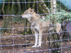 ardenen 2009 048