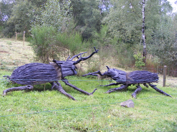 ardenen 2009 096