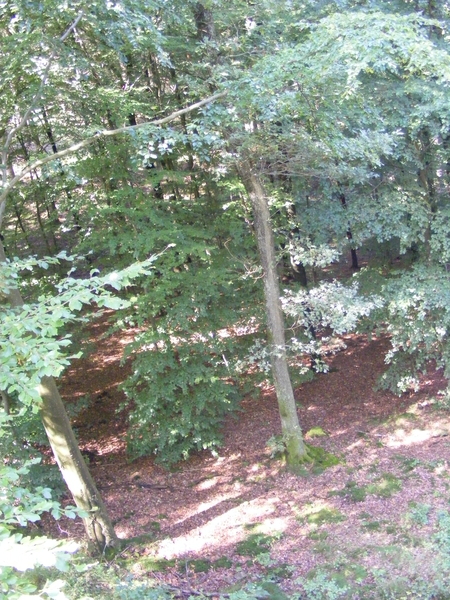 ardenen 2009 113