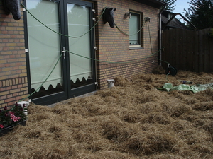 wie heeft een schaap over