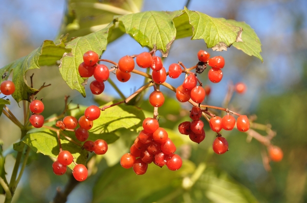 001 INGEBLIKT...OP EEN MAANDAGOCHTEND...!