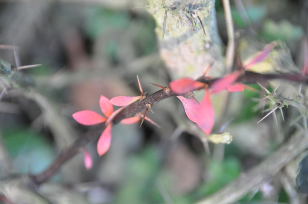 001 GEWOON GENIETEN IN ALLE RUST !