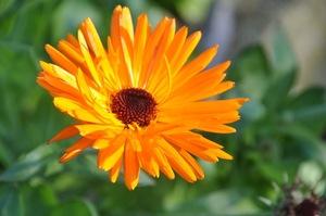 039