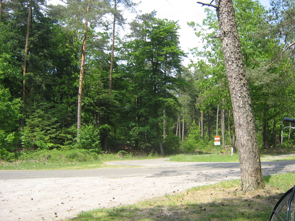 fietsen op de Veluwe