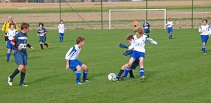 36