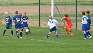 65 kopie