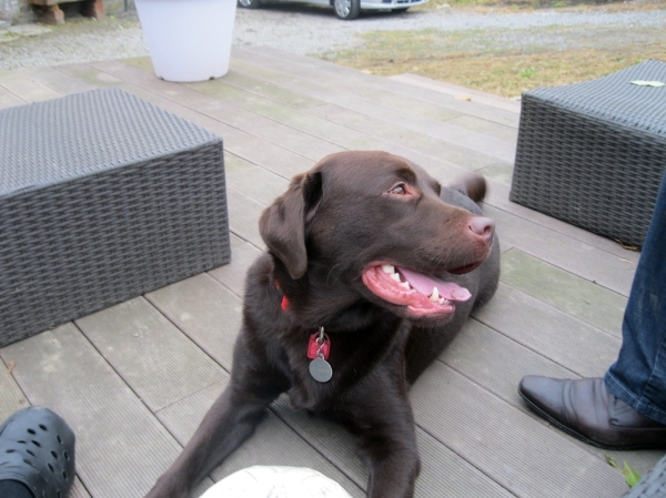 2307 'Vakantie ? Ik word daar zo moe van...'