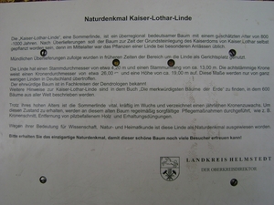 111031 1104 Nedersaksen van BergenBelsen tot Kassel 100