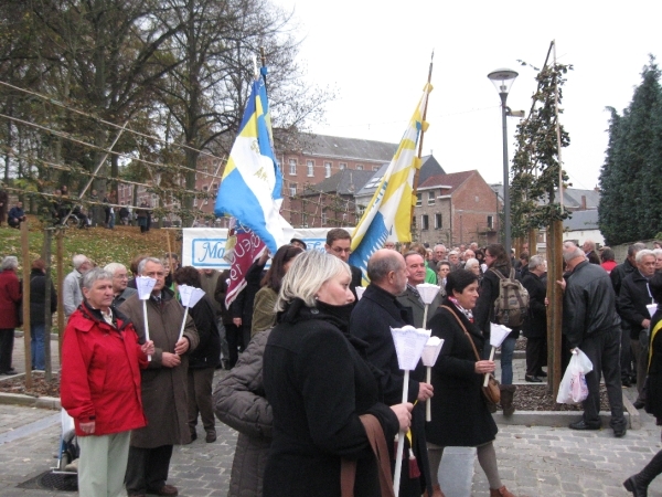 De verenigingen dragen hun vlag