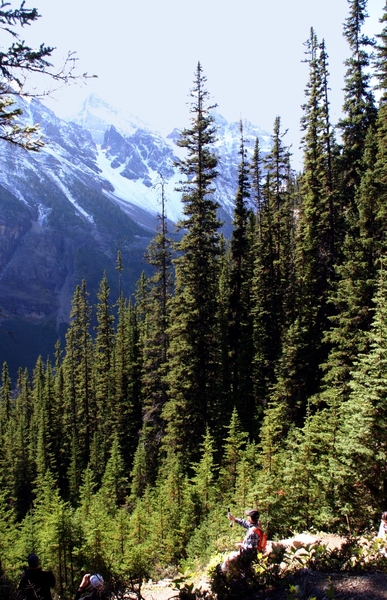 Lake louise - Lake Agnes trail