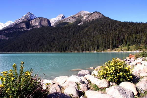 Lake Louise (1 731 m)