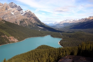 Icefields Parkway - Peyto Lake