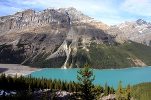 Icefields Parkway - Peyto Lake