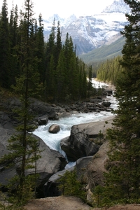 Icefields Parkway - Mistaya Canyon