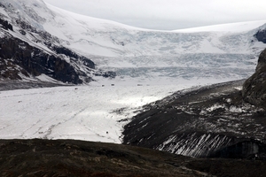 Sneeuwbussen (stipjes) op Athabasca gletsjer !!