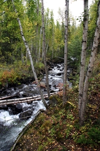 Wells Gray Park - op weg naar Moul Falls